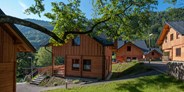 Luxuscamping - Preisniveau: exklusiv - Feriendorf Berghof - Ferienhaus Premium am Seecamping Berghof