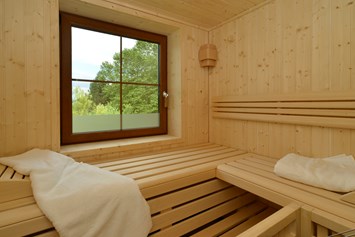 Glampingunterkunft: Sauna - Ferienhaus Deluxe am Seecamping Berghof